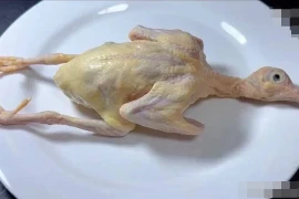 5 bộ phận này của chim bồ câu chứa nhiều độc tố 