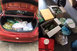 Hậu nghỉ lễ và cảnh túi lớn, túi bé lên thành phố nhìn “choáng“