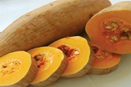 Lý do bà bầu nên thường xuyên ăn bí đỏ? 