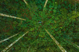 Cúc Phương khiến du khách lại muốn đi vì vẻ đẹp như “xứ thần tiên“