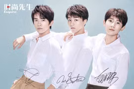 Cho thuê chỗ leo cây xem thần tượng hát, giá 700 USD mỗi giờ