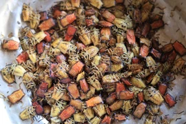 Khám phá chợ côn trùng lớn nhất Tây Bắc