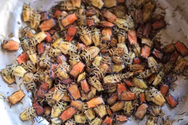 Khám phá chợ côn trùng lớn nhất Tây Bắc