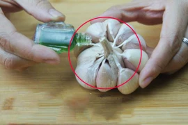 Trời mưa ẩm, chỉ cần đổ dầu gió vào tỏi đuổi muỗi hiệu quả