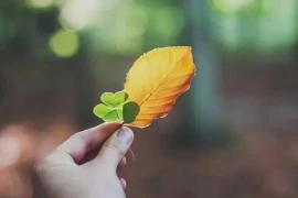 Khởi đầu của một gia đình sa sút không giữ được hai bí mật này