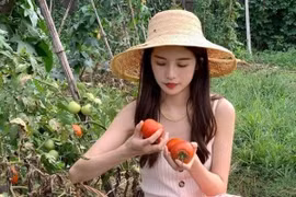  Loại quả chín kỹ sẽ trở thành trái quý chống ung thư