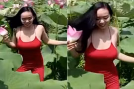 Quay clip ở ao sen, gái xinh lộ thân hình “vạn người mê“