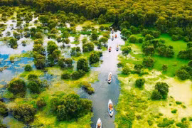 Phượt rừng tràm Trà Sư