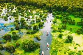 Phượt rừng tràm Trà Sư