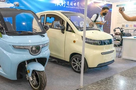 Cuộc chiến ô tô điện mini ở thị trường Việt Nam