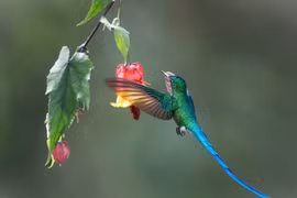  Quý cô sinh 3 ngày Âm lịch này điệu đà, may mắn