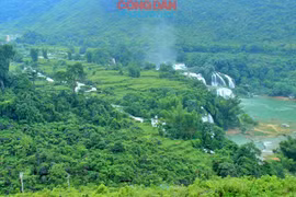 Ngoạn mục cảnh quan thác Bản Giốc xanh ngắt miền biên cương