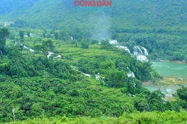 Ngoạn mục cảnh quan thác Bản Giốc xanh ngắt miền biên cương