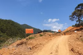 Lâm Đồng: Kiểm tra vụ tự ý phá rừng quốc gia làm đường Trường Sơn Đông 