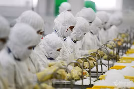 Xuất khẩu thuỷ sản ghi nhận tháng cao nhất kể từ đầu năm