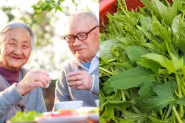 Loại 'rau trường thọ' được người Nhật ăn hàng ngày