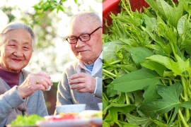 Loại 'rau trường thọ' được người Nhật ăn hàng ngày