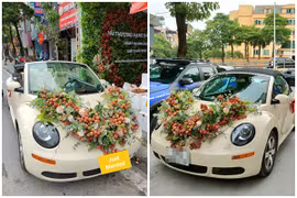 "Xe hoa” kết bằng vải thiều lên sóng, dân mạng thả like thích thú