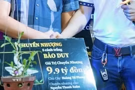 “Hết hồn” với những phiên mua bán, đấu giá lan đột biến bạc tỉ