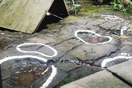 Đi ăn, phát hiện dấu vết quái thú 100 triệu tuổi giữa nhà hàng