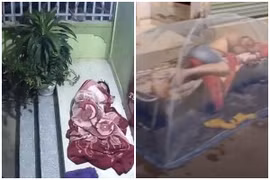 Bật lại “nóc nhà”, những ông chồng lâm cảnh ngủ lang