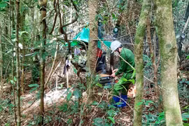 Xác định danh tính 2 cha con tử vong trong rừng Gia Lai