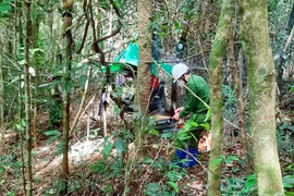 Xác định danh tính 2 cha con tử vong trong rừng Gia Lai