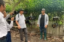 Làm tổ lạ lắm, anh nông dân Bà Rịa-Vũng Tàu nuôi ong dú