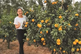 Từ chối lương 700 triệu, cô gái trồng thứ bán kiếm bạc tỷ