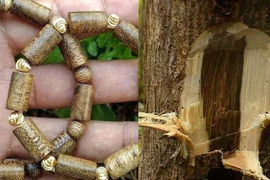 Mẹo phân biệt trầm hương thật - giả cực kỳ quan trọng