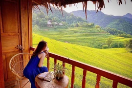 Tọa độ “săn” mùa lúa chín đẹp nhất Việt Nam