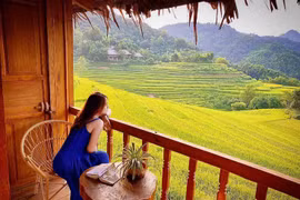 Tọa độ “săn” mùa lúa chín đẹp nhất Việt Nam