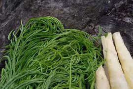 Loại rau rừng nghe tên đã thấy bốc mùi trở thành đặc sản