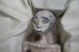 Thực hư về mẫu vật “người ngoài hành tinh” ở Mexico 