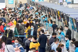 Vé máy bay tết: Khách hỏi nhiều, mua ít