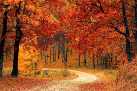 Vận khí tốt, người sinh ngày Âm lịch này tích lũy tài lộc