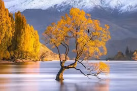 Dù cô đơn thế nào cũng đừng để những người này ghé thăm nhà