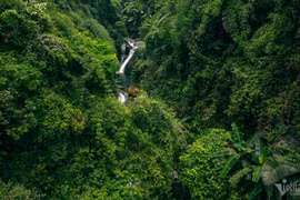 Hành trình leo đèo, vượt suối trekking Cửa Tử