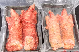 Chân gà Đông Tảo giá 'chát', hơn nửa triệu đồng một chiếc 