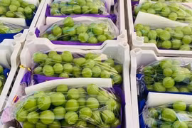 Nho sữa được bán đầy chợ Việt với giá chỉ từ 99 nghìn đồng/kg