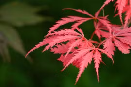 Từ tháng 8/2022, 4 chòm sao nhận ân sủng trời xanh, ngửa tay hứng tiền