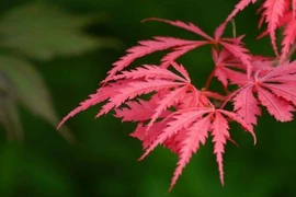 Từ tháng 8/2022, 4 chòm sao nhận ân sủng trời xanh, ngửa tay hứng tiền