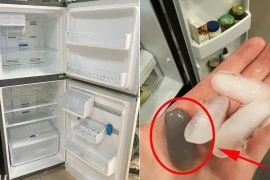 Tủ lạnh mới nên nhớ bỏ đi mẻ đá đầu tiên để bảo vệ sức khỏe