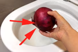 Củ hành tây sẽ giải quyết bồn cầu có mùi hôi khó chịu
