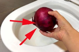 Củ hành tây sẽ giải quyết bồn cầu có mùi hôi khó chịu