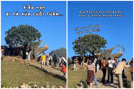 Săn mây Tà Xùa dịp cuối tuần và loạt “kiếp nạn” hài hước