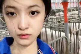 Kiếm 14.500 USD nhờ việc nuôi lợn sau khi tốt nghiệp đại học