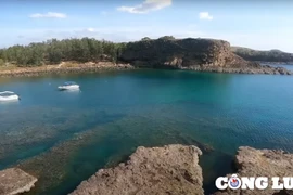 Vẻ đẹp thơ mộng và độc đáo chỉ có ở Hòn Yến Phú Yên