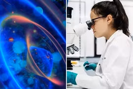 Tìm thấy “hạt của quỷ” mà các nhà khoa học từng không tin 