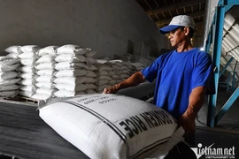 Gạo Việt Nam xuất sang một quốc gia Trung Đông tăng đột biến 12.843%